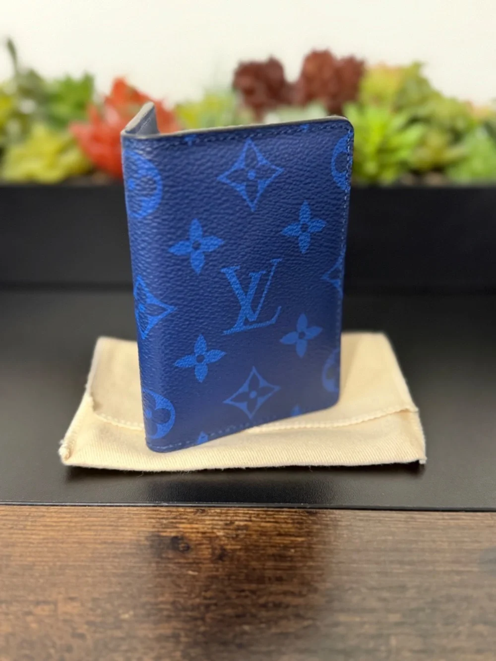 Louis Vuitton Blue Taigarama Monogram Pocket Organizer